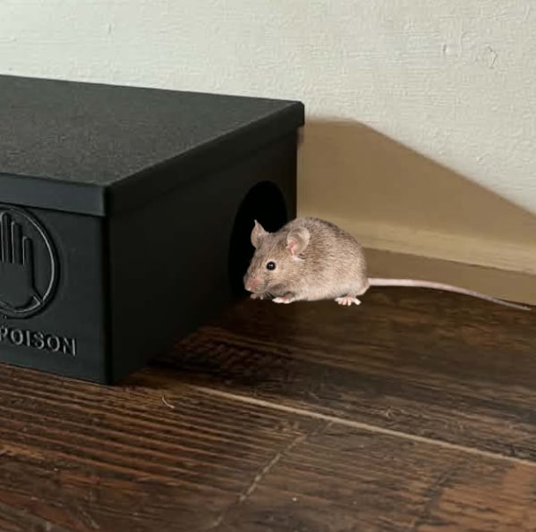 GVA Station de protection pour piège à souris réutilisable, compatible avec piège mécanique ou plaque collante, sans poison, noire – lot de 6